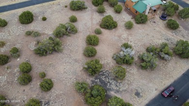 Amazing 0.47 level acres in Eaglecrest Subdivision ready to on Silver Creek Golf Club in Arizona - for sale on GolfHomes.com, golf home, golf lot