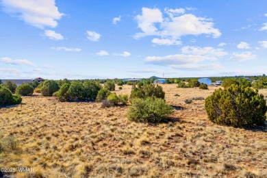 Level 1.13 acre lot ready to build your dream home or getaway on Silver Creek Golf Club in Arizona - for sale on GolfHomes.com, golf home, golf lot