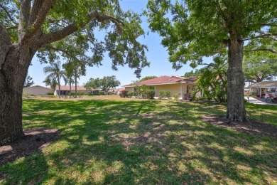 Nothing to do but move in and enjoy maintenance-free living on Kings Point Executive Golf Course in Florida - for sale on GolfHomes.com, golf home, golf lot
