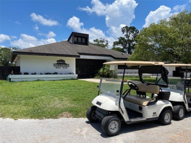 55+ GOLF COURSE community. Live every day like you are on on Summertree Golf Course in Florida - for sale on GolfHomes.com, golf home, golf lot