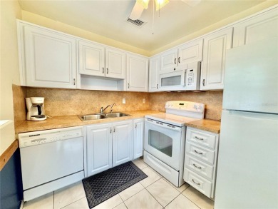 55+ GOLF COURSE community. Live every day like you are on on Summertree Golf Course in Florida - for sale on GolfHomes.com, golf home, golf lot