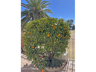 Spacious 2 bedroom / 2 bathroom Townhome in highly desirable on Dorado Country Club in Arizona - for sale on GolfHomes.com, golf home, golf lot