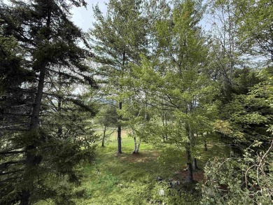 Enjoy Green Mountain views from this bright and spacious on Hermitage Club Golf Course in Vermont - for sale on GolfHomes.com, golf home, golf lot