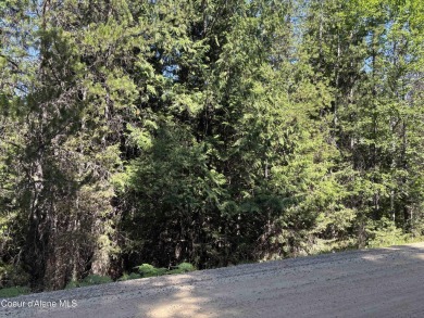 Nearly 2/3 acre lot on 3rd fairway of beautiful Priest Lake Golf on Priest Lake Golf and Tennis Club in Idaho - for sale on GolfHomes.com, golf home, golf lot