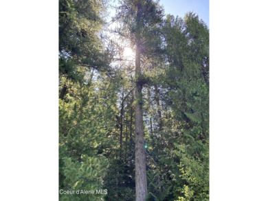 Nearly 2/3 acre lot on 3rd fairway of beautiful Priest Lake Golf on Priest Lake Golf and Tennis Club in Idaho - for sale on GolfHomes.com, golf home, golf lot