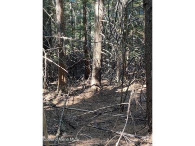 Nearly 2/3 acre lot on 3rd fairway of beautiful Priest Lake Golf on Priest Lake Golf and Tennis Club in Idaho - for sale on GolfHomes.com, golf home, golf lot