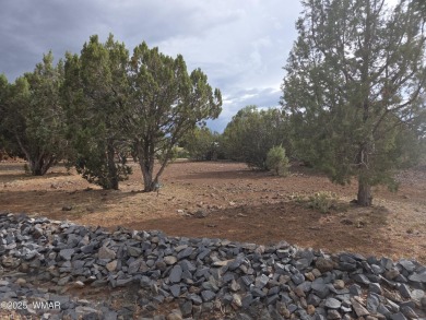 GREAT OPPORTUNITY One of the last great lots in the Vistas, this on Juniper Ridge R.V. Golf Resort in Arizona - for sale on GolfHomes.com, golf home, golf lot