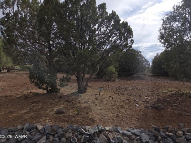 GREAT OPPORTUNITY One of the last great lots in the Vistas, this on Juniper Ridge R.V. Golf Resort in Arizona - for sale on GolfHomes.com, golf home, golf lot