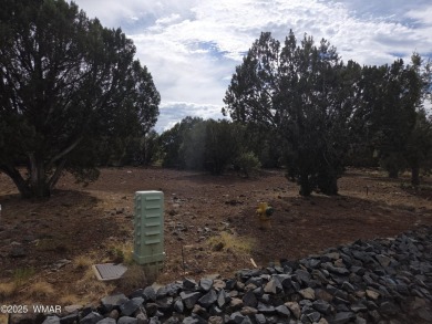 GREAT OPPORTUNITY One of the last great lots in the Vistas, this on Juniper Ridge R.V. Golf Resort in Arizona - for sale on GolfHomes.com, golf home, golf lot