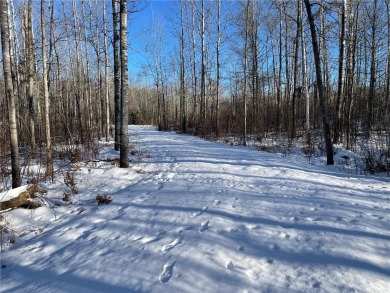 Heavily wooded 2.19 acre lakeshore lot in Voyageurs Retreat at on Giants Ridge Golf and Ski Resort - The Legend in Minnesota - for sale on GolfHomes.com, golf home, golf lot