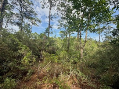 Take a look at this .5 acre Rayburn Country lot in Section E5 on Rayburn Country Club in Texas - for sale on GolfHomes.com, golf home, golf lot
