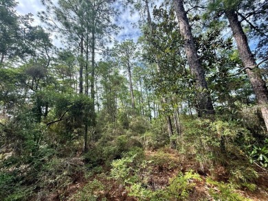 Take a look at this .5 acre Rayburn Country lot in Section E5 on Rayburn Country Club in Texas - for sale on GolfHomes.com, golf home, golf lot