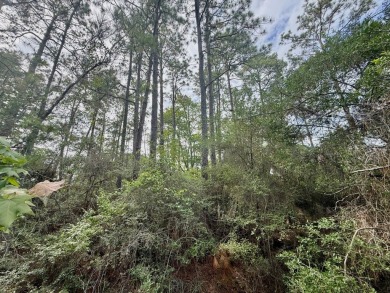 Take a look at this .5 acre Rayburn Country lot in Section E5 on Rayburn Country Club in Texas - for sale on GolfHomes.com, golf home, golf lot