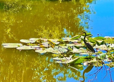 Big Price Drop - Don't Miss Out!             A rare find on on Bent Tree Country Club in Florida - for sale on GolfHomes.com, golf home, golf lot