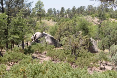 Build your dream home and enjoy the beautiful wooded on The Rim Golf Club in Arizona - for sale on GolfHomes.com, golf home, golf lot
