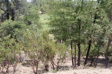 Build your dream home and enjoy the beautiful wooded on The Rim Golf Club in Arizona - for sale on GolfHomes.com, golf home, golf lot