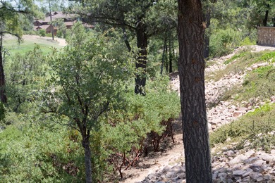 Build your dream home and enjoy the beautiful wooded on The Rim Golf Club in Arizona - for sale on GolfHomes.com, golf home, golf lot