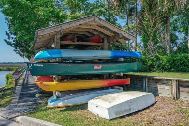 MOTIVATED SELLER: PRICED $27,000 BELOW CURRENT APPRAISAL! on The Club At Osprey Cove in Georgia - for sale on GolfHomes.com, golf home, golf lot