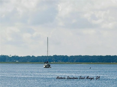 MOTIVATED SELLER: PRICED $27,000 BELOW CURRENT APPRAISAL! on The Club At Osprey Cove in Georgia - for sale on GolfHomes.com, golf home, golf lot