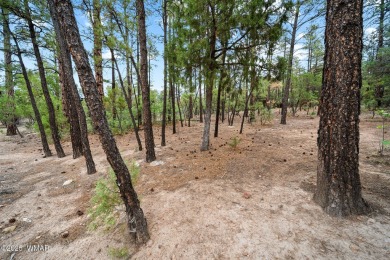 Welcome to one of the most desirable communities in Arizona's on Torreon Golf Club in Arizona - for sale on GolfHomes.com, golf home, golf lot