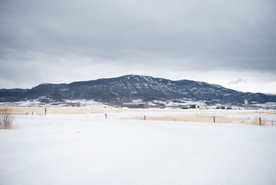 I'll be your Elderberry-Looking for a Red Lodge getaway or a on Red Lodge Golf Club in Montana - for sale on GolfHomes.com, golf home, golf lot