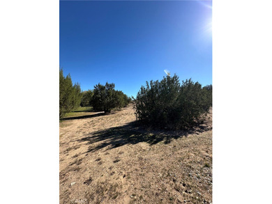 Discover this spacious vacant lot of just over 16,000 square on Hesperia Golf and Country Club in California - for sale on GolfHomes.com, golf home, golf lot