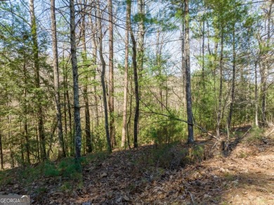 Welcome to Buckhorn Estates, where mountain living meets on White Path Golf Club in Georgia - for sale on GolfHomes.com, golf home, golf lot