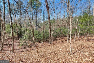 CUL-DE-SAC ORCHARD LOT!! Wooded cul-de-sac building lot  in the on The Orchard Golf and Country Club in Georgia - for sale on GolfHomes.com, golf home, golf lot