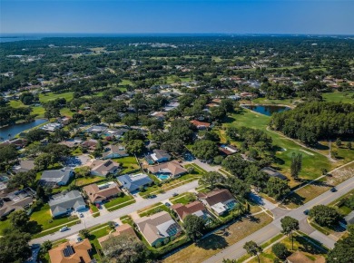 Welcome to this hidden gem right in the heart of Countryside! on Countryside Country Club in Florida - for sale on GolfHomes.com, golf home, golf lot