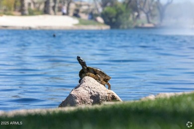 Step inside and feel the space and warmth of this inviting home on The Duke At Rancho El Dorado Golf Course in Arizona - for sale on GolfHomes.com, golf home, golf lot