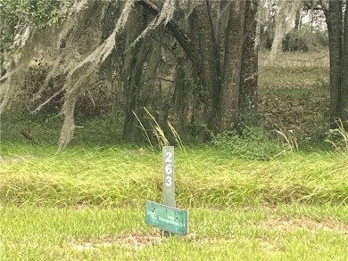 Check out this lovely 0.68 acre homesite in Cooper's Point! on Sapelo Hammock Golf Club in Georgia - for sale on GolfHomes.com, golf home, golf lot