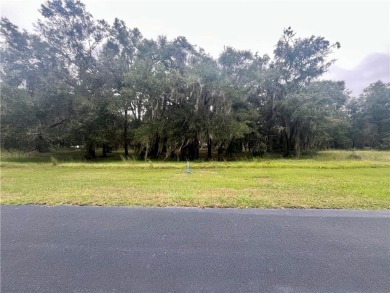 Check out this lovely 0.68 acre homesite in Cooper's Point! on Sapelo Hammock Golf Club in Georgia - for sale on GolfHomes.com, golf home, golf lot