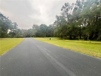 Check out this lovely 0.68 acre homesite in Cooper's Point! on Sapelo Hammock Golf Club in Georgia - for sale on GolfHomes.com, golf home, golf lot