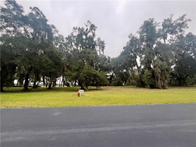 Check out this lovely 0.68 acre homesite in Cooper's Point! on Sapelo Hammock Golf Club in Georgia - for sale on GolfHomes.com, golf home, golf lot