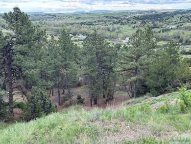 Development potential! Beautiful views to the south are of on The Briarwood in Montana - for sale on GolfHomes.com, golf home, golf lot