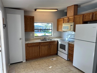 A High-End yet, laid back 55 Plus Community near Orlando, FL! on Zellwood Station Country Club in Florida - for sale on GolfHomes.com, golf home, golf lot