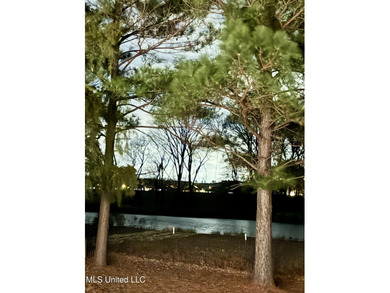 Welcome to 169 Shoreview Dr. located in the highly sought after on Lake Caroline Golf Club in Mississippi - for sale on GolfHomes.com, golf home, golf lot