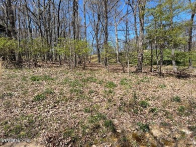 Nice golf course lot with utilities on Druid Hills Golf Club in Tennessee - for sale on GolfHomes.com, golf home, golf lot