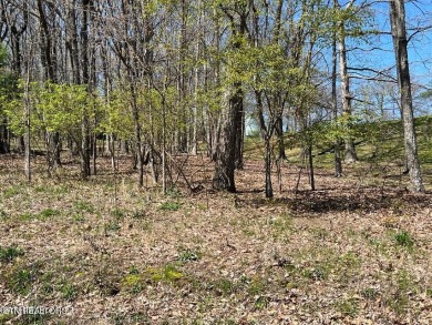 Nice golf course lot with utilities on Druid Hills Golf Club in Tennessee - for sale on GolfHomes.com, golf home, golf lot