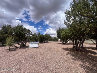 Fully furnished home in White Mountain Lakes on a spacious 0 on Silver Creek Golf Club in Arizona - for sale on GolfHomes.com, golf home, golf lot