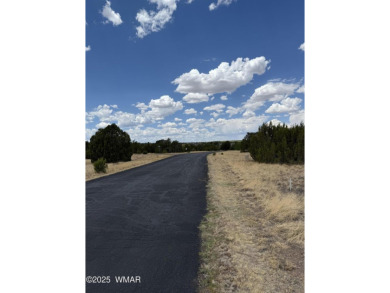 Discover this nearly 1/2-acre lot just steps from the fairway on Silver Creek Golf Club in Arizona - for sale on GolfHomes.com, golf home, golf lot