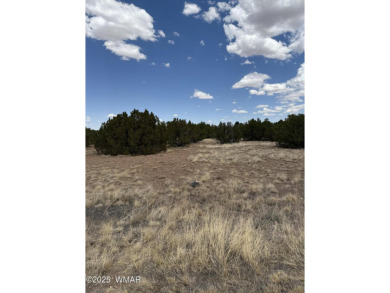 Discover this nearly 1/2-acre lot just steps from the fairway on Silver Creek Golf Club in Arizona - for sale on GolfHomes.com, golf home, golf lot