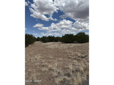 Discover this nearly 1/2-acre lot just steps from the fairway on Silver Creek Golf Club in Arizona - for sale on GolfHomes.com, golf home, golf lot