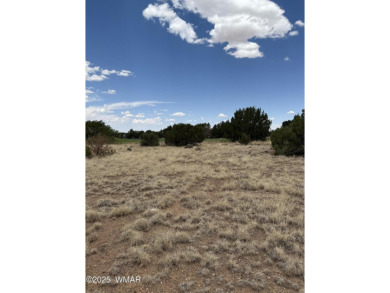 Discover this nearly 1/2-acre lot just steps from the fairway on Silver Creek Golf Club in Arizona - for sale on GolfHomes.com, golf home, golf lot