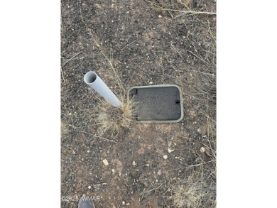 Discover this nearly 1/2-acre lot just steps from the fairway on Silver Creek Golf Club in Arizona - for sale on GolfHomes.com, golf home, golf lot