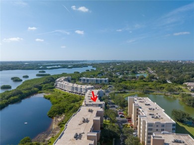 YOUR FLORIDA DREAM COMES TRUE - COMPLETELY REMODELED WATERFRONT on Seminole Lake Country Club in Florida - for sale on GolfHomes.com, golf home, golf lot