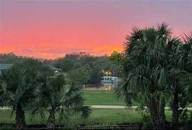 INCREDIBLE HOUSE!!! INCREDIBLE PRICE!!!  Experience the epitome on Sea Palms Golf and Tennis Resort in Georgia - for sale on GolfHomes.com, golf home, golf lot