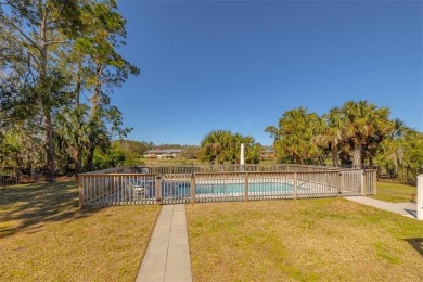 INCREDIBLE HOUSE!!! INCREDIBLE PRICE!!!  Experience the epitome on Sea Palms Golf and Tennis Resort in Georgia - for sale on GolfHomes.com, golf home, golf lot