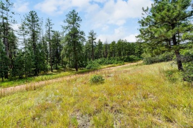 A south-facing lot in Perry Park offering nearly one acre of on Perry Park Country Club in Colorado - for sale on GolfHomes.com, golf home, golf lot