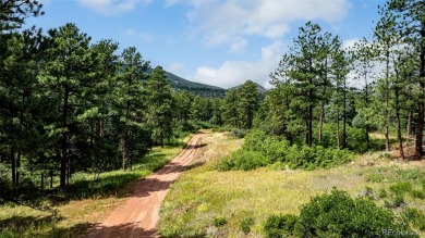 A south-facing lot in Perry Park offering nearly one acre of on Perry Park Country Club in Colorado - for sale on GolfHomes.com, golf home, golf lot